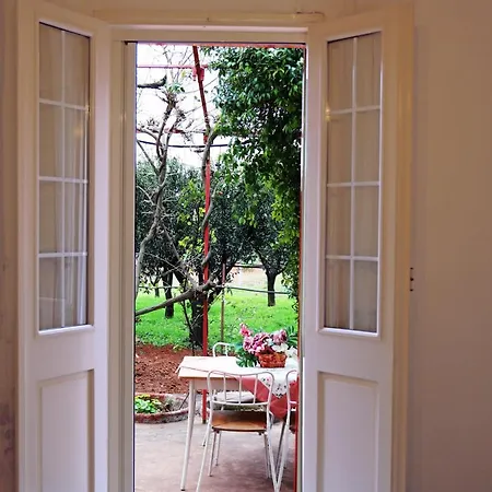 Apartment Potenza *